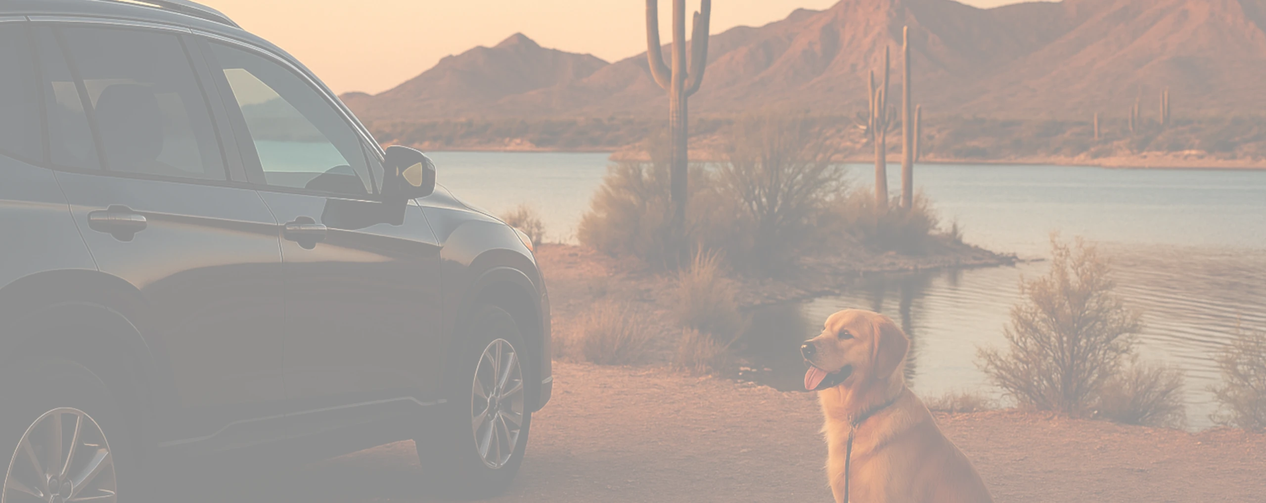 a dog sitting next to a car