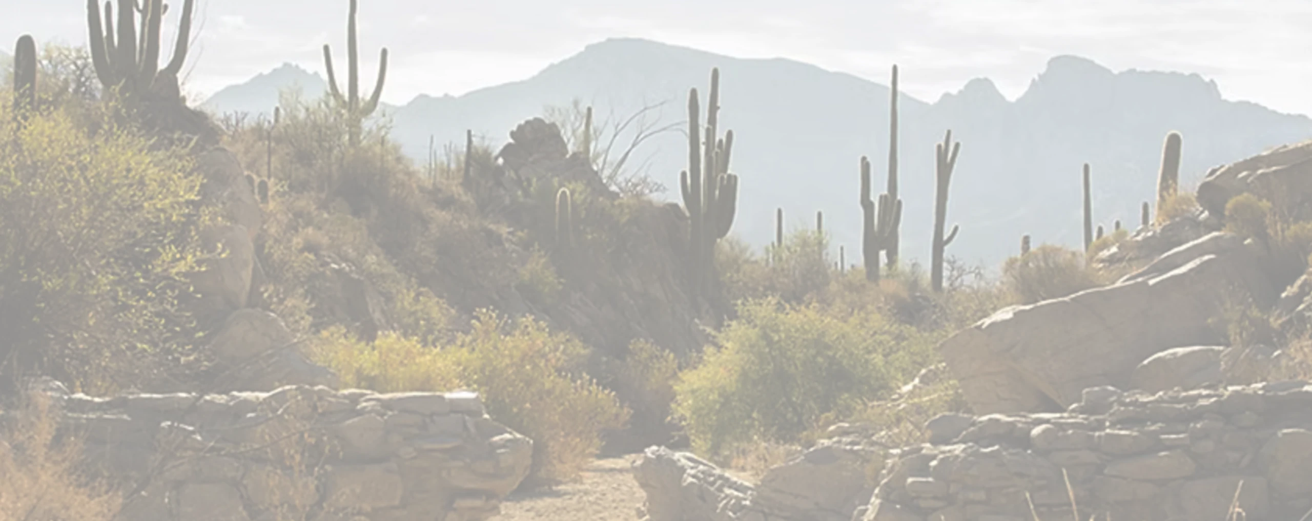 a picture of the oro valley landscape