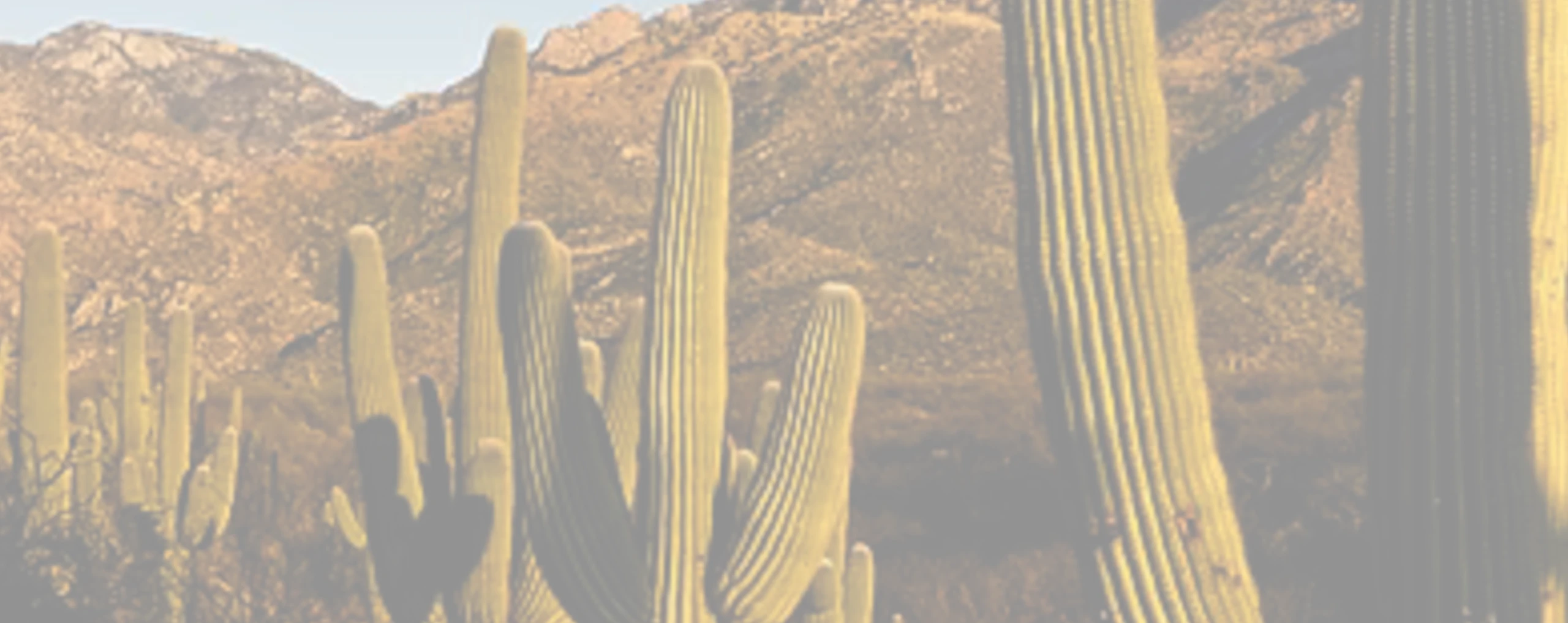 a view of catalina foothills